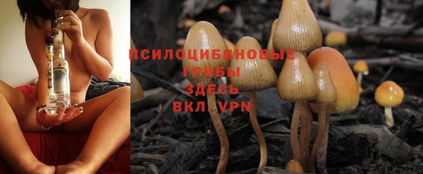 2c-b Осинники